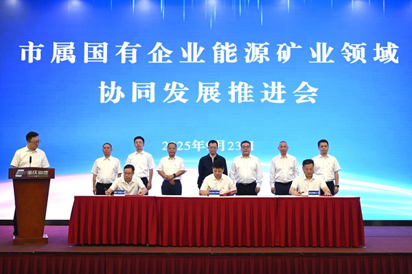 重庆推动市属国企能源