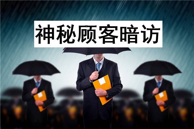 讲讲有实力的暗访推荐